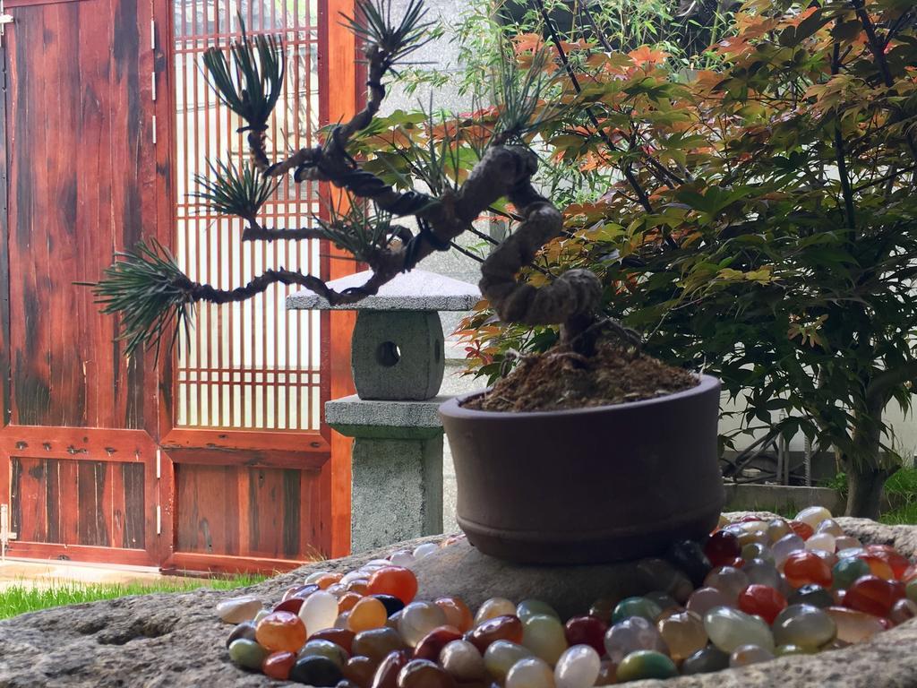 Bo Nan Homestay Ta-li Exteriér fotografie